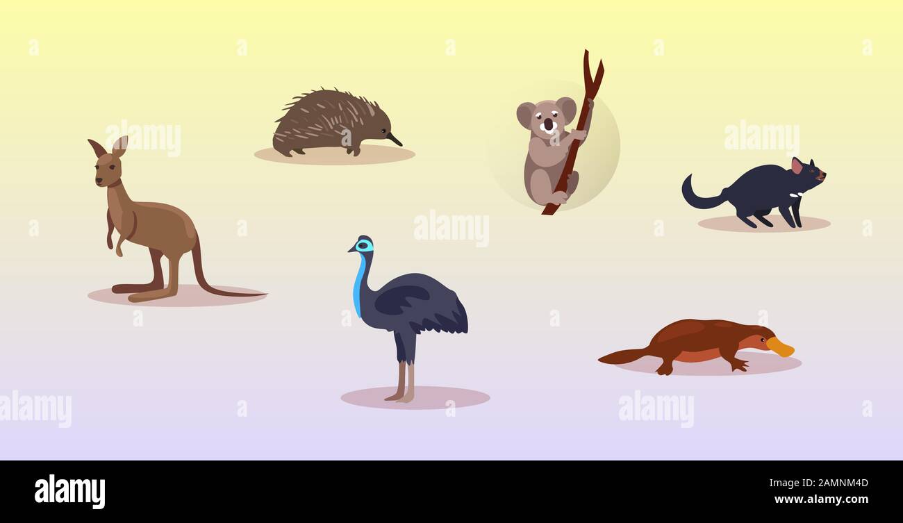 set cartone animato in via di estinzione animali selvatici australiani diavolo tasmaniano echidna ostrich platypus koala kangaroo simboli collezione fauna specie fauna concetto piatto orizzontale vettore illustrazione Illustrazione Vettoriale