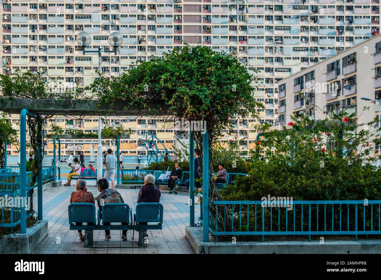 Hongkong, Cina, novembre 2019: Anziani, donne sedute su panchina nel parco pubblico Foto Stock