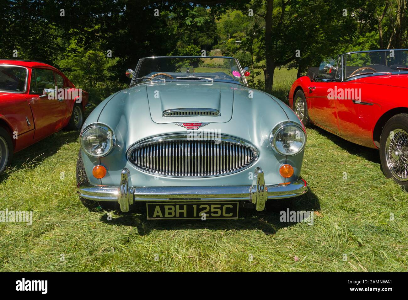 Austin Healey 3000 Mark 3, un'iconica classica vettura sportiva britannica costruita dal 1959 al 1967 in un rally di veicoli d'epoca a Glyndyfrdwy North Wales Foto Stock