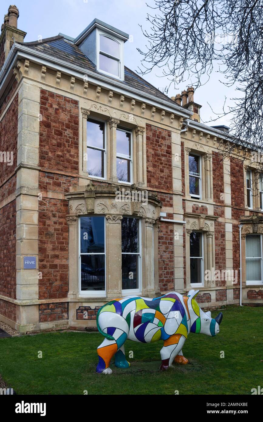 Studio HIVE società di gestione dello sviluppo di proprietà con salvysize colorful Rhino, Oakfield Road, Clifton, City of Bristol, UK Foto Stock