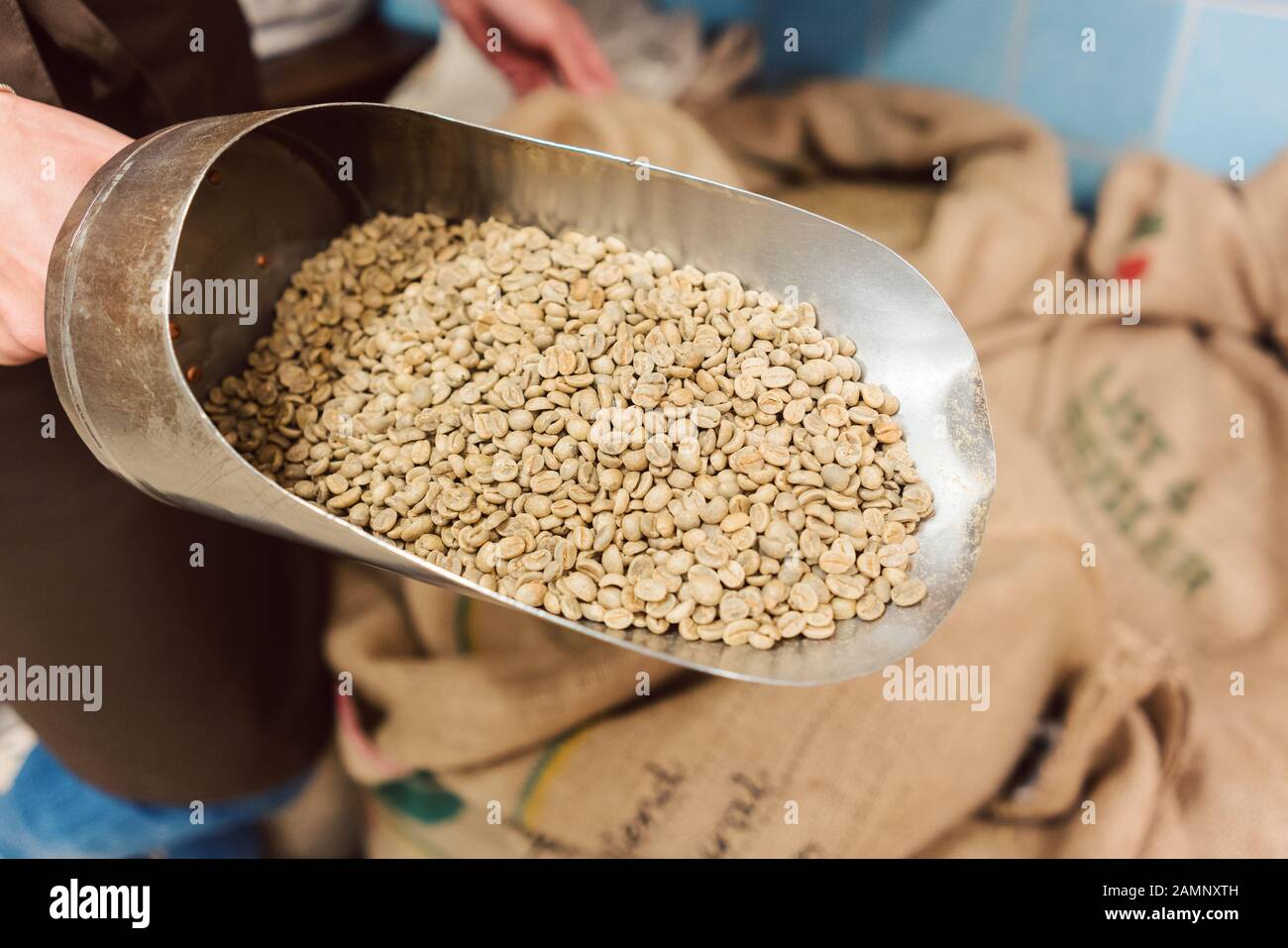 Commerciante di caffè che mostra il prodotto grezzo Foto Stock