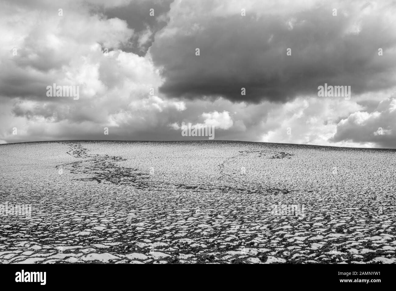 Slovacchia - campi in primavera di Plesivecka Planina altopiano. Foto Stock