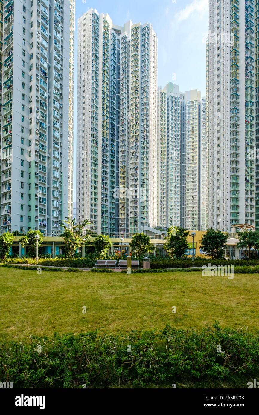 enorme complesso residenziale, campo verde tra alti edifici di appartamenti - Foto Stock