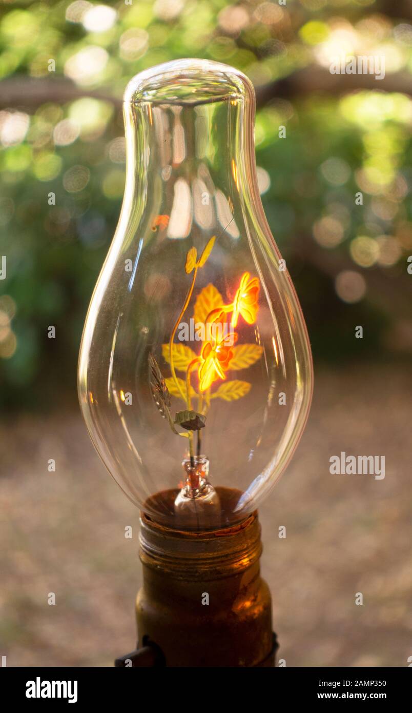 Lewis Latimer House A Flushing Queens New York City Foto Stock