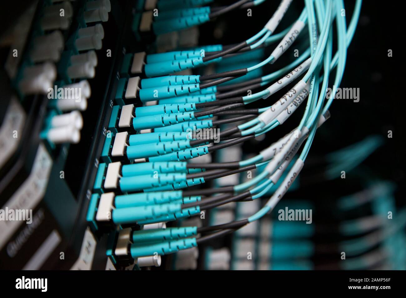 Immagine ravvicinata di router di cavi in un centro dati mobile. Foto Stock