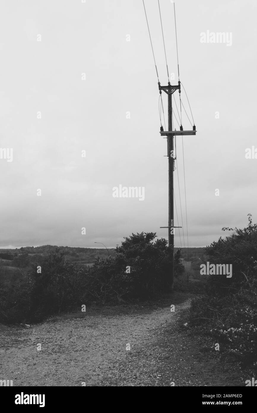 Palo di telegrafo Foto Stock