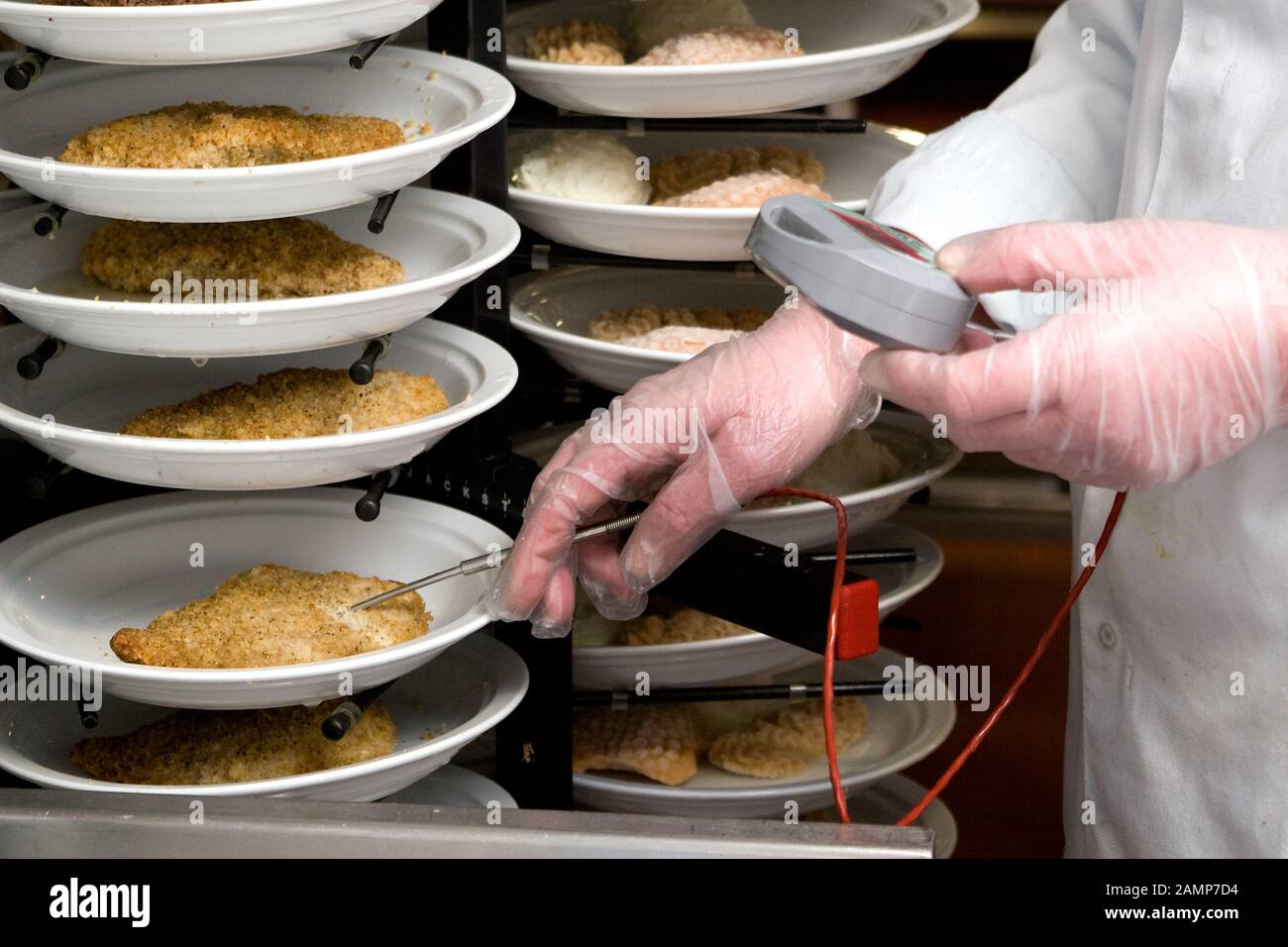 La sicurezza alimentare ispettore misura la temperatura di pietanze cucinate con una sonda del termometro. Foto Stock