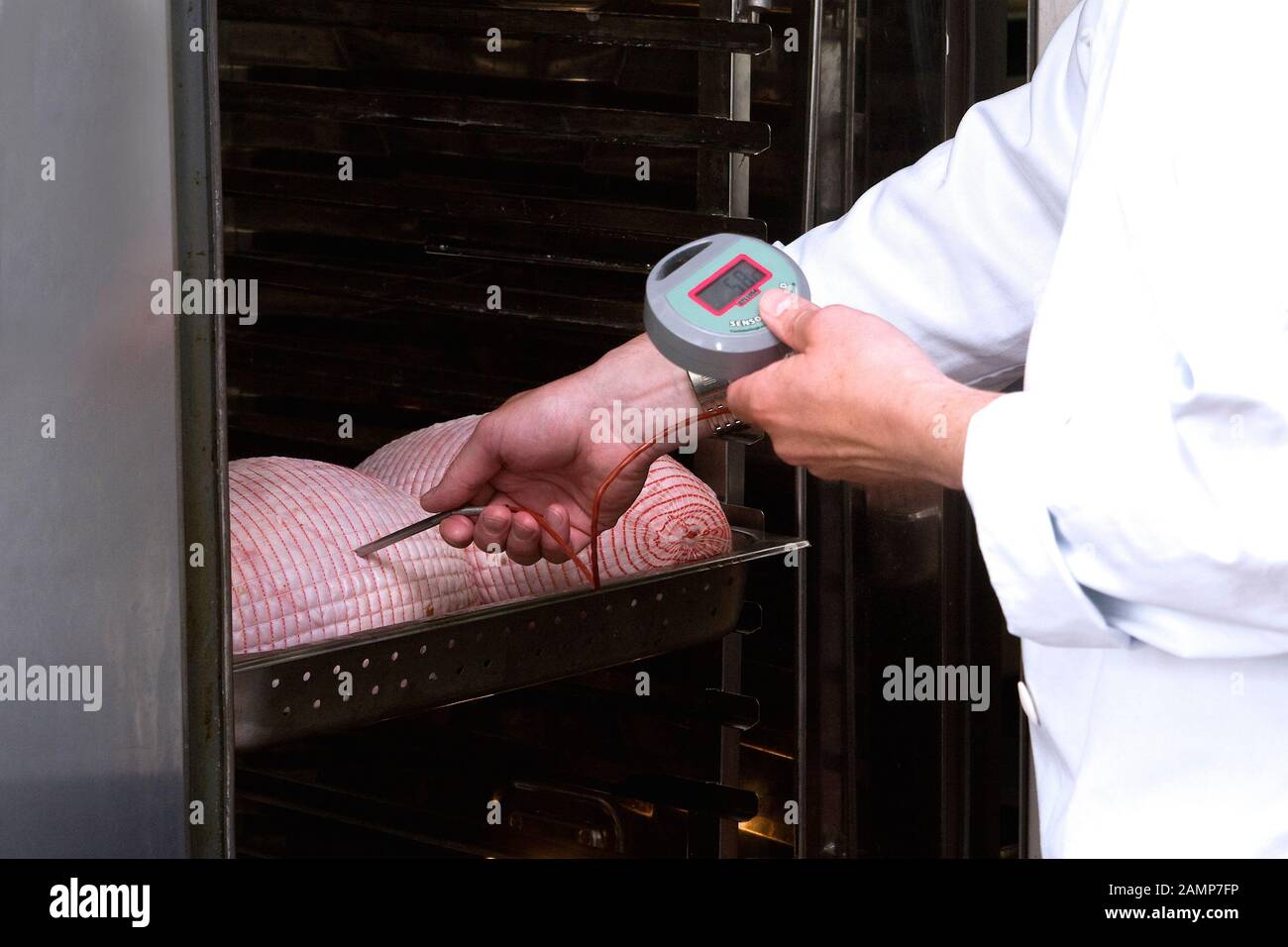 La sicurezza alimentare ispettore utilizzando una sonda termometro per misurare la temperatura del cibo. Foto Stock
