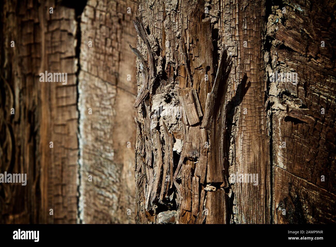 Legno stagionato grunge sfondo texture. Foto Stock