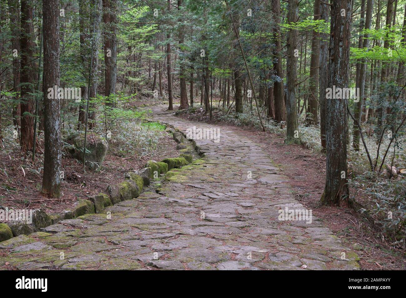 Giappone - storico sentiero Nakasendo nei pressi di Magome. Il vecchio percorso di viaggio di centinaia di anni. Foto Stock