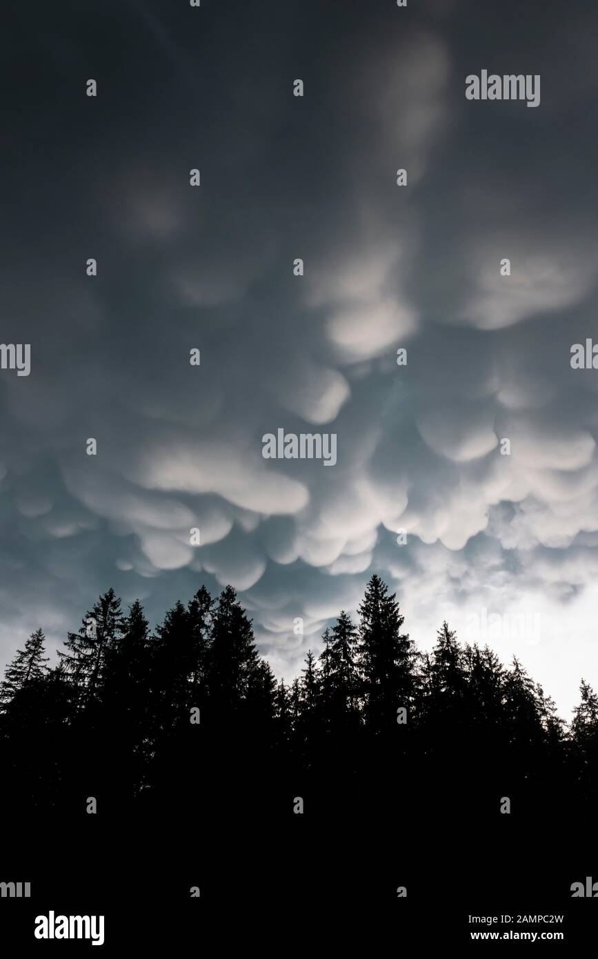 Mammoth nuvole, maltempo, atmosfera drammatica nube, tuoni, vicino Grainau, alta Baviera, Baviera, Germania Foto Stock