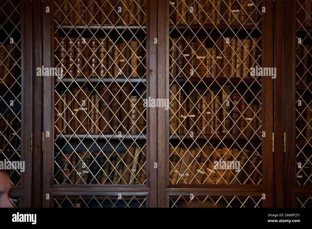 Una vecchia libreria con scaffali di libri antichi. Foto Stock