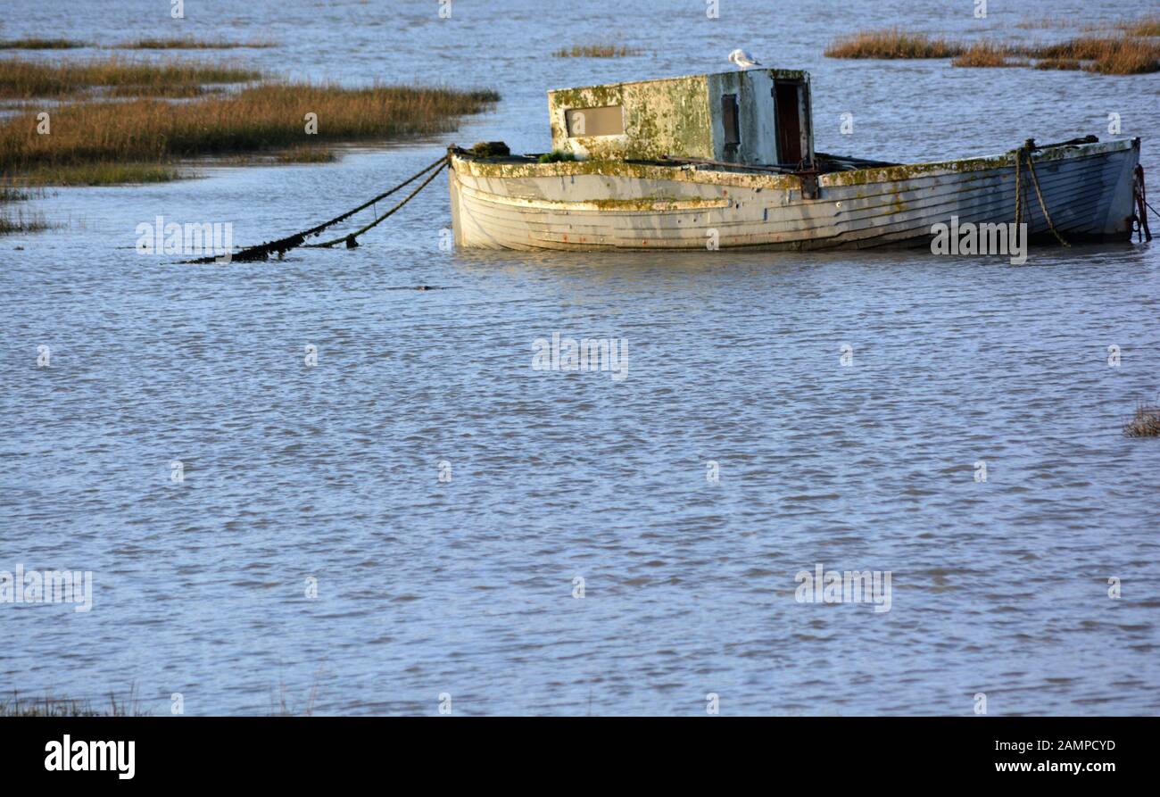 Barry, vale of Glamorgan / Wales - 6 gennaio 2020: Sviluppo del lungomare in Barry South Wales, costruzione di nuove case in questa comunità in espansione Foto Stock