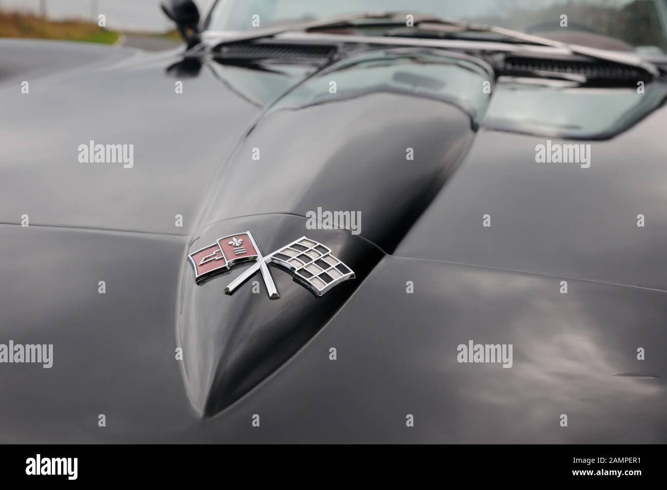 Cofano del 1966 Chevrolet Corvette Stingray roadster, con bandiera a scacchi emblema sul naso Foto Stock