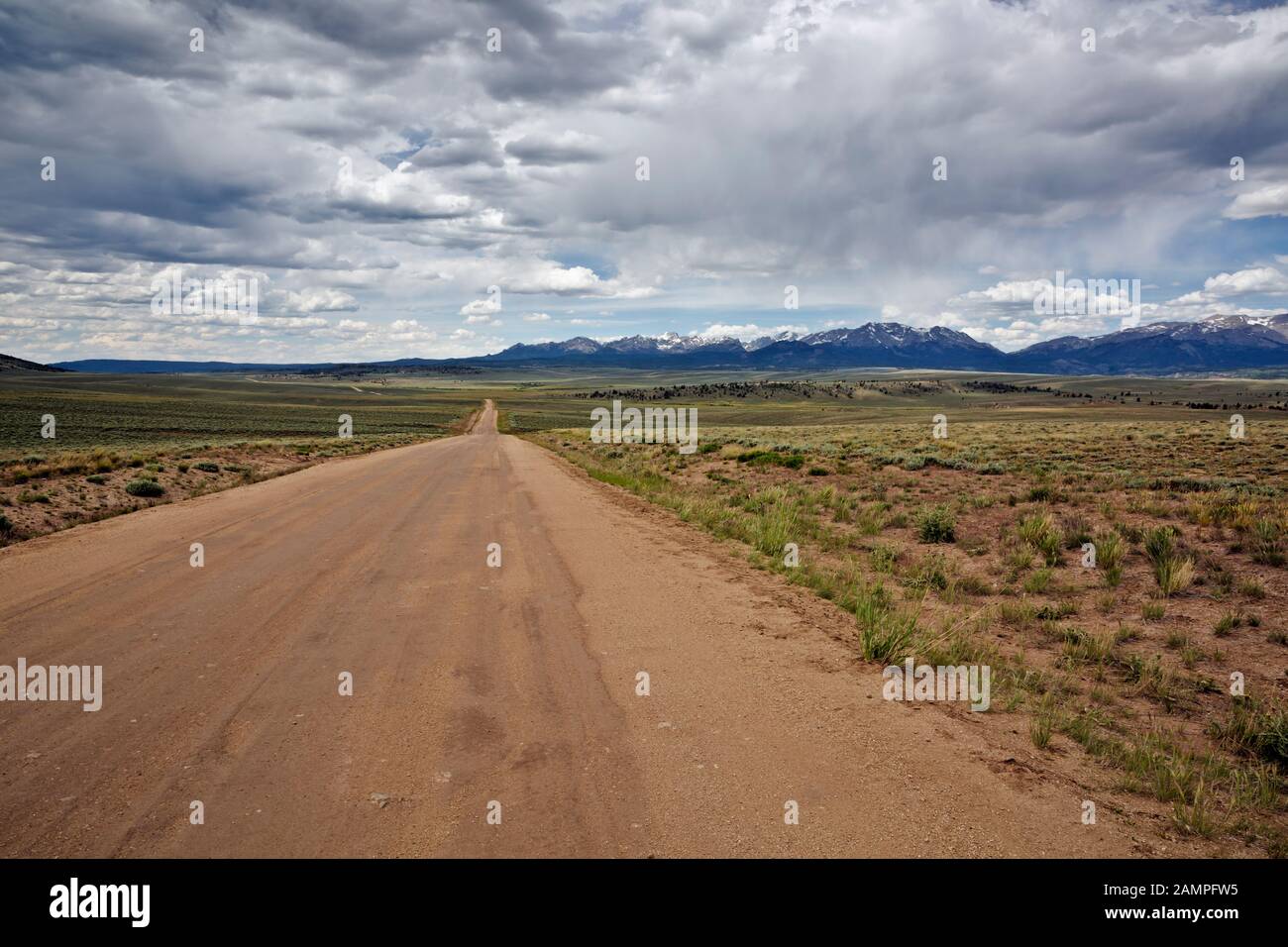 WY03953-00...WYOMING - Forest Road 32 in direzione ovest lungo la Wind River Range. Foto Stock