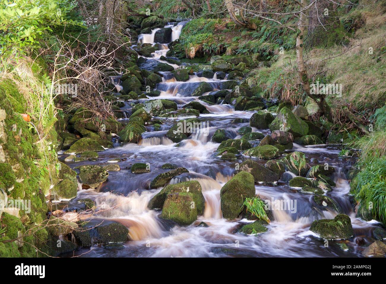 Esposizione lento colpo di White Water Rapids sulle rive di un fiume nella contea di Wicklow, Irlanda. Foto Stock