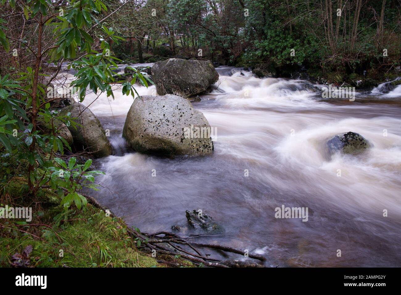 Esposizione lento colpo di White Water Rapids sulle rive di un fiume nella contea di Wicklow, Irlanda. Foto Stock