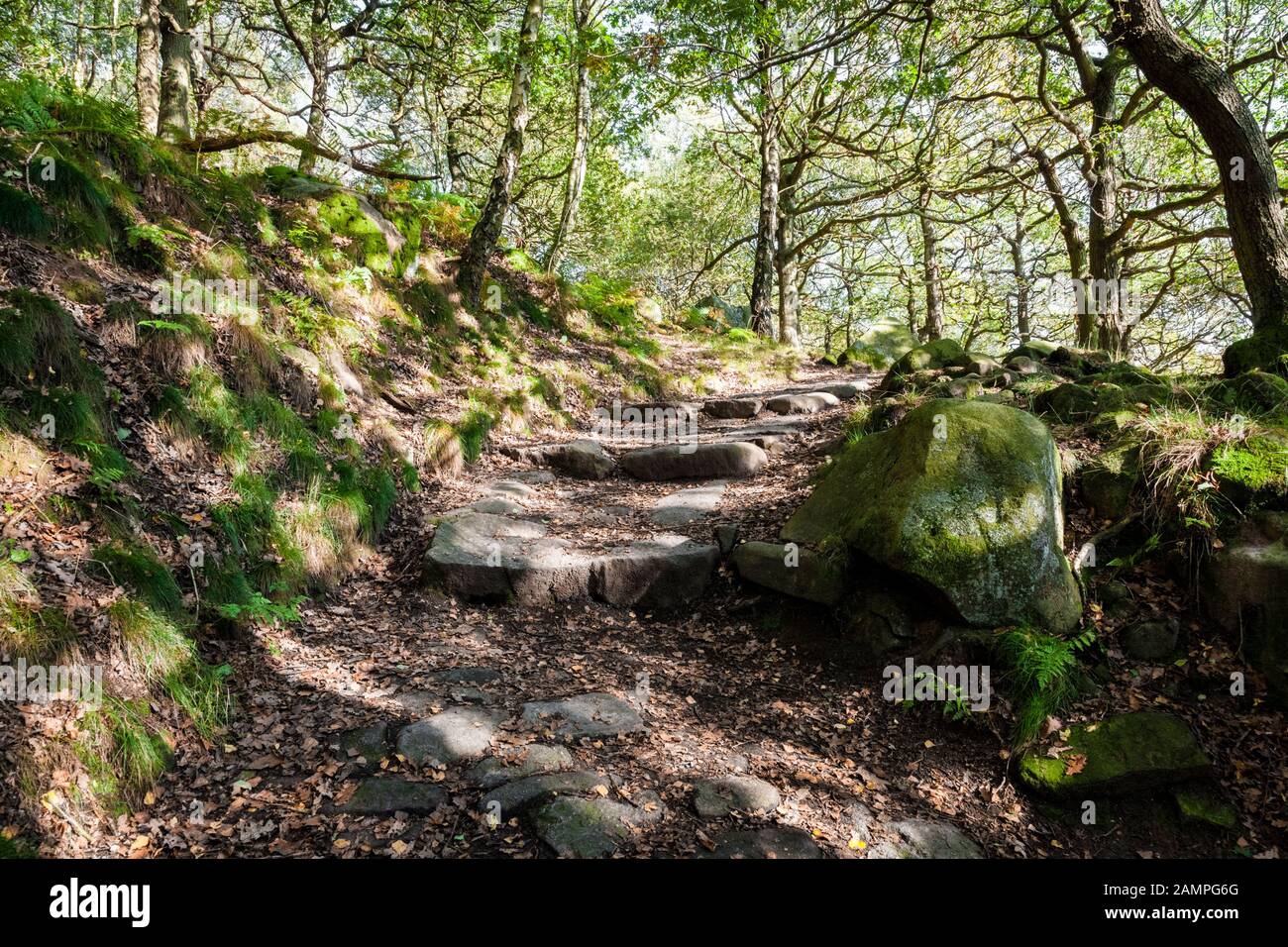 Percorso in salita attraverso gli alberi boschivi in piena luce del sole durante l'autunno. Padley Gorge, Peak District National Park, Derbyshire, Inghilterra, Regno Unito Foto Stock