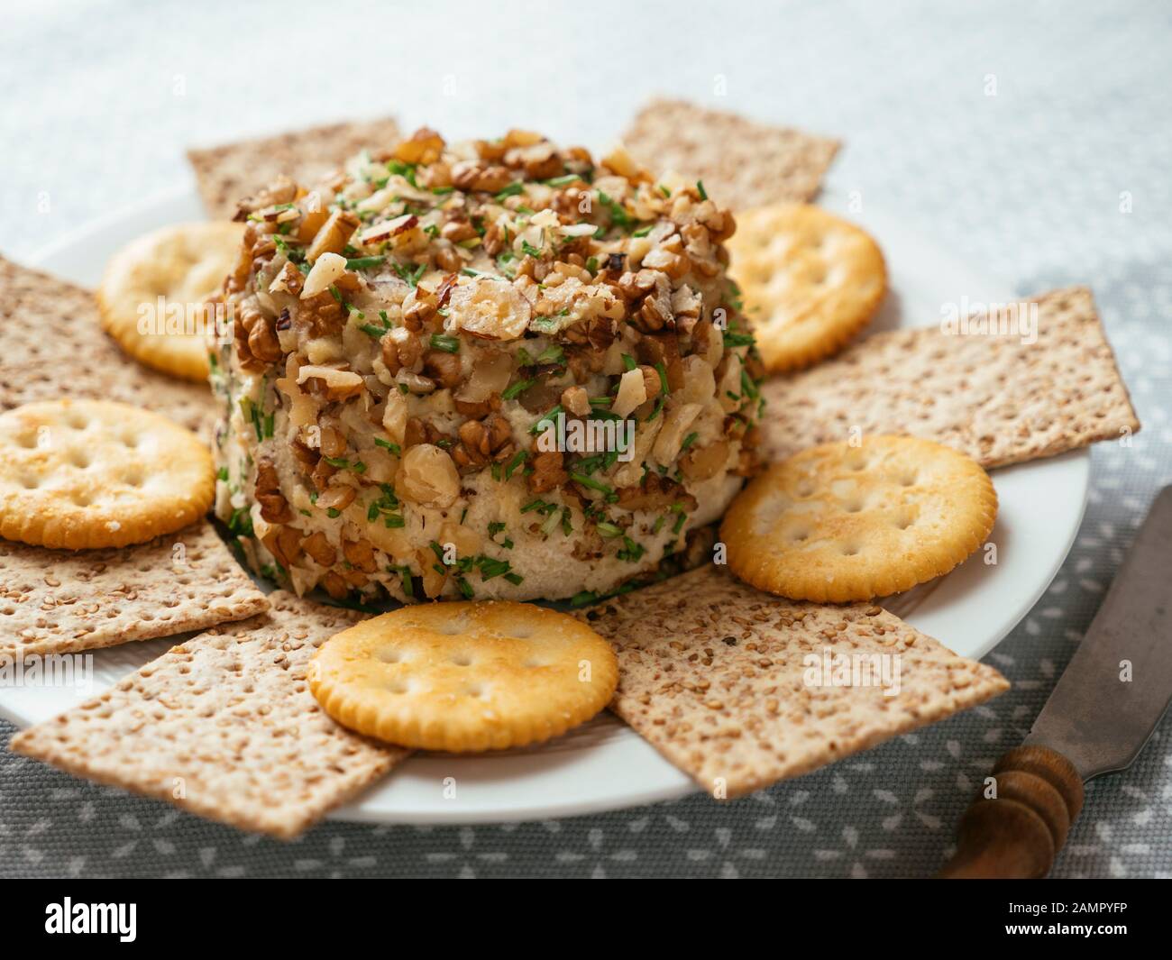 Fatto in casa cheddar vegano con dadi, servita con cracker. Foto Stock