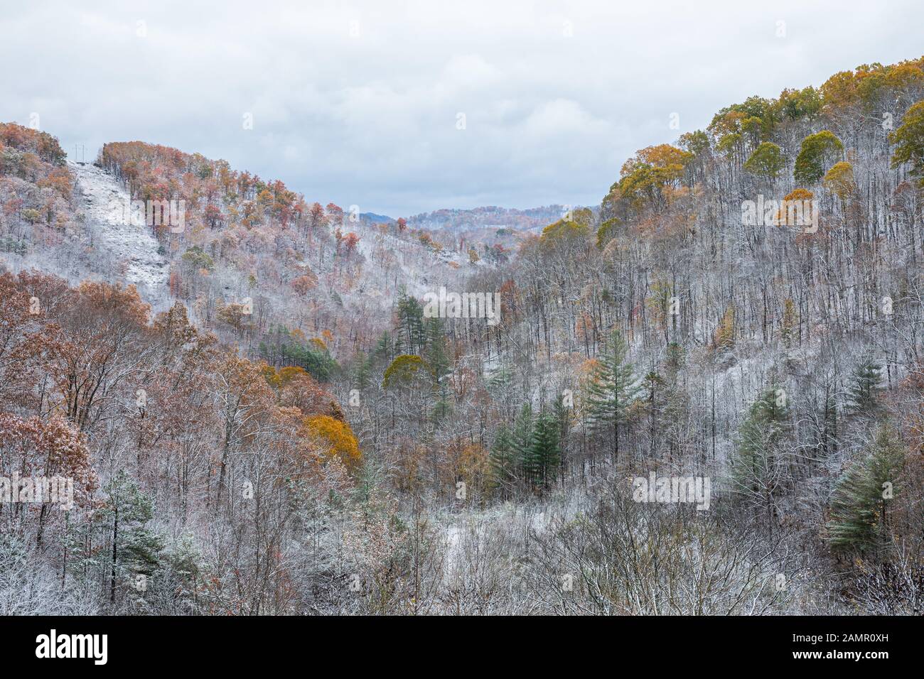 Dopo una nevicata in autunno. Foto Stock