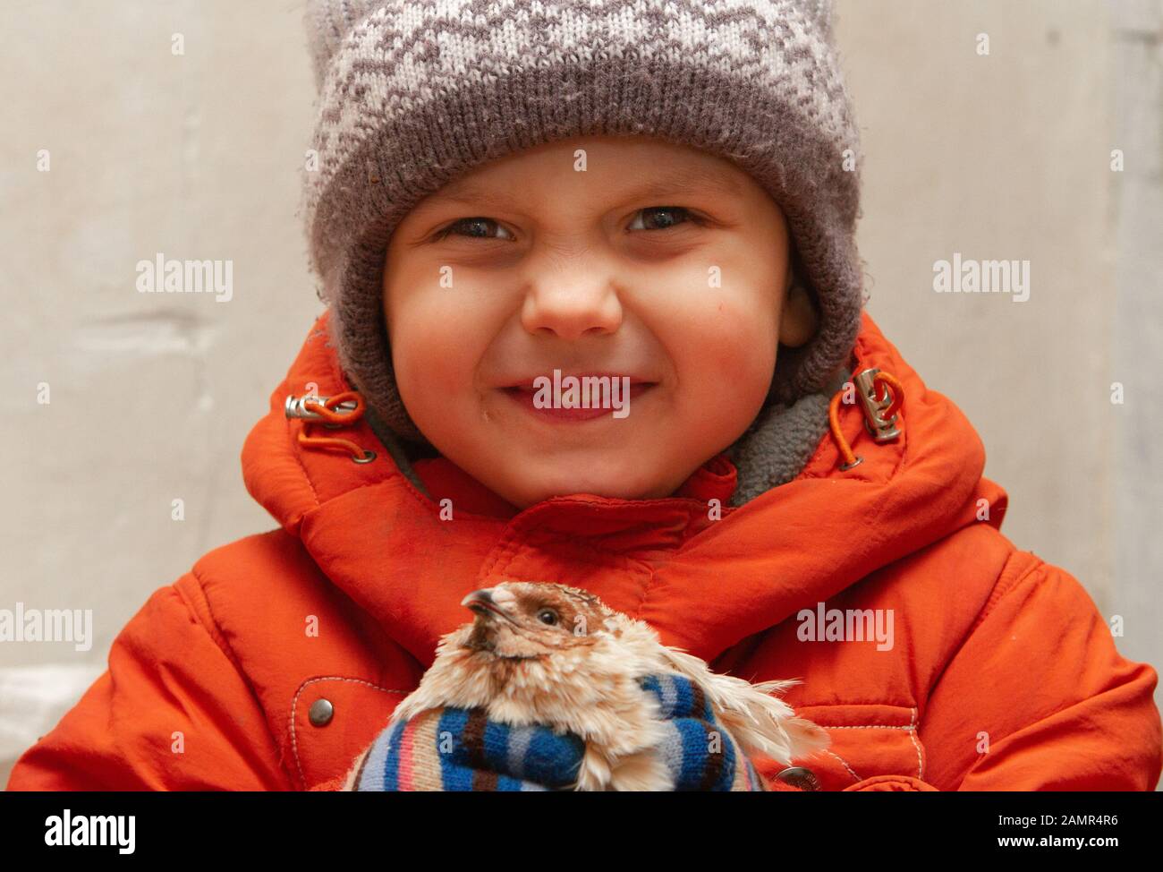 I bambini che detengono un pollo di quaglia. Un piccolo bel ragazzo abbracci e bacia un piccolo pollo Foto Stock