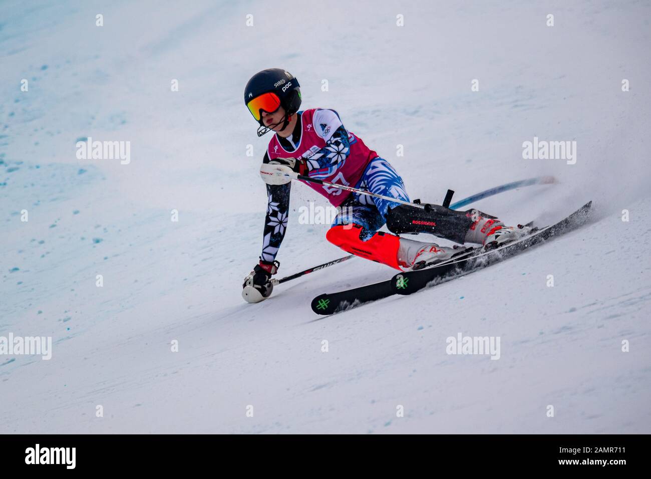 Losanna, Svizzera. 14th Gen 2020. DNILAS Hans Markus (EST) compete nello sci alpino Slalom Run 2 maschile durante i Giochi Olimpici Giovanile di Losanna 2020 presso il Centro Alpino Les Diablerets martedì 14 gennaio 2020. LOSANNA, SVIZZERA. Credito: Taka G Wu/Alamy Live News Foto Stock