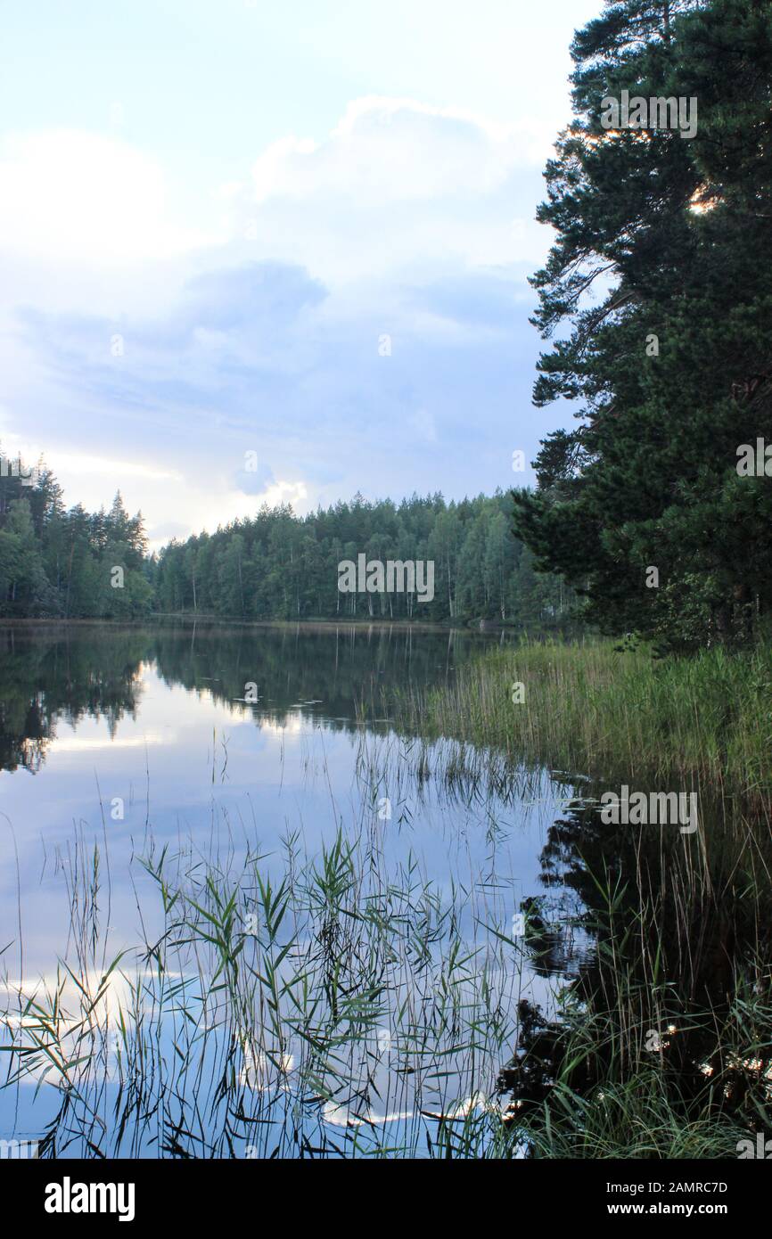 New Scenic 5 posti la natura vista con sky riflettendo dal lago tranquillo in Voikoski, Finlandia Foto Stock