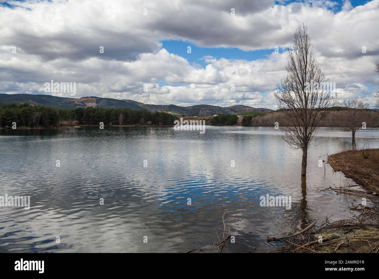 Paesaggio di alberi in acque calme lago con nuvole bianche cielo riflesso e montagne sullo sfondo Foto Stock