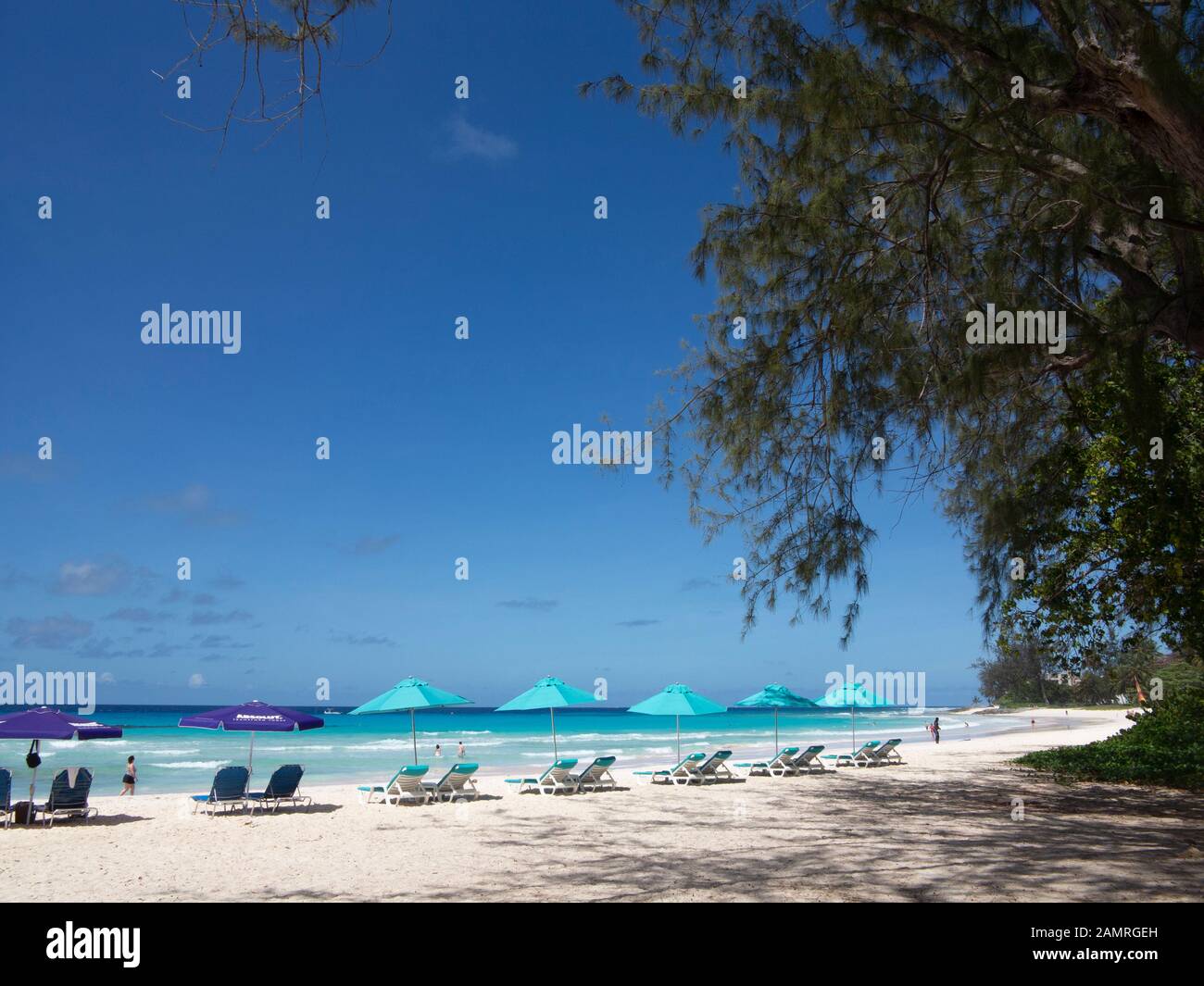 Ombrelloni su Rockley Beach, Barbados Foto Stock