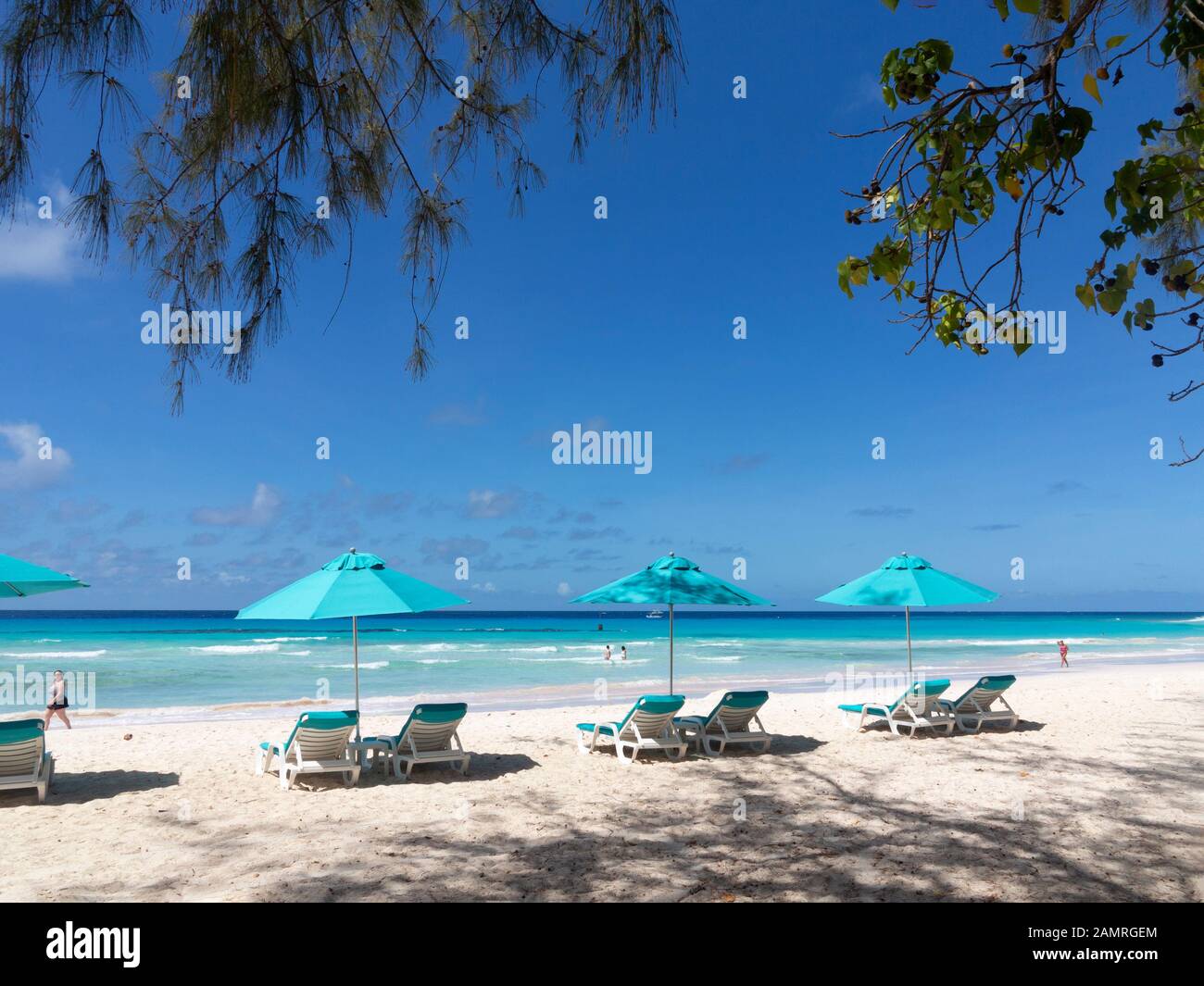 Ombrelloni su Rockley Beach, Barbados Foto Stock