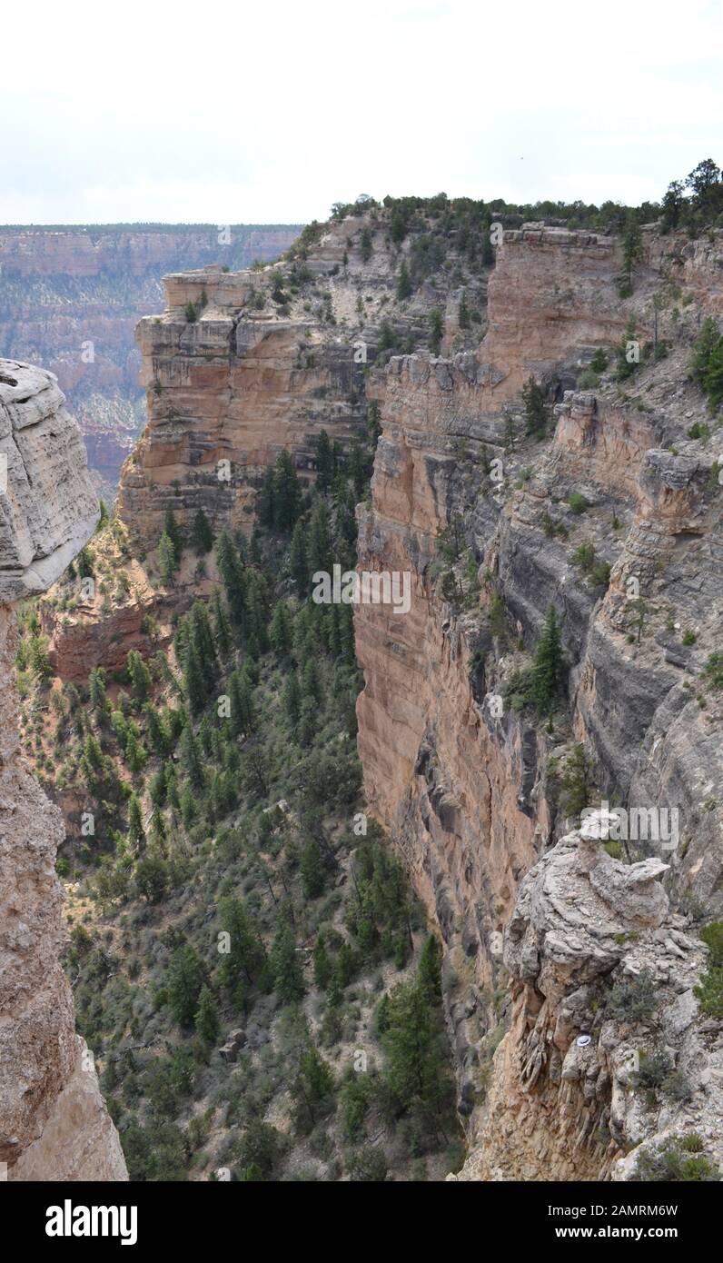 Inizio estate in Arizona: scogliere a est di Mather Point sul bordo sud nel Parco Nazionale del Grand Canyon Foto Stock