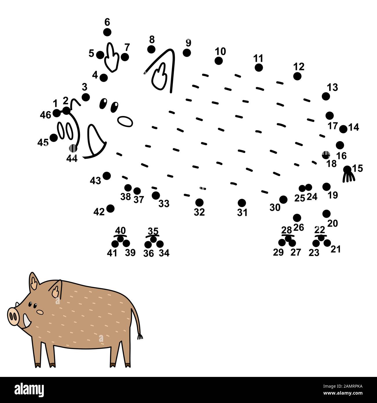 Dot to dot gioco per bambini. Collegare i numeri e disegnare un bel cinghiale Illustrazione Vettoriale