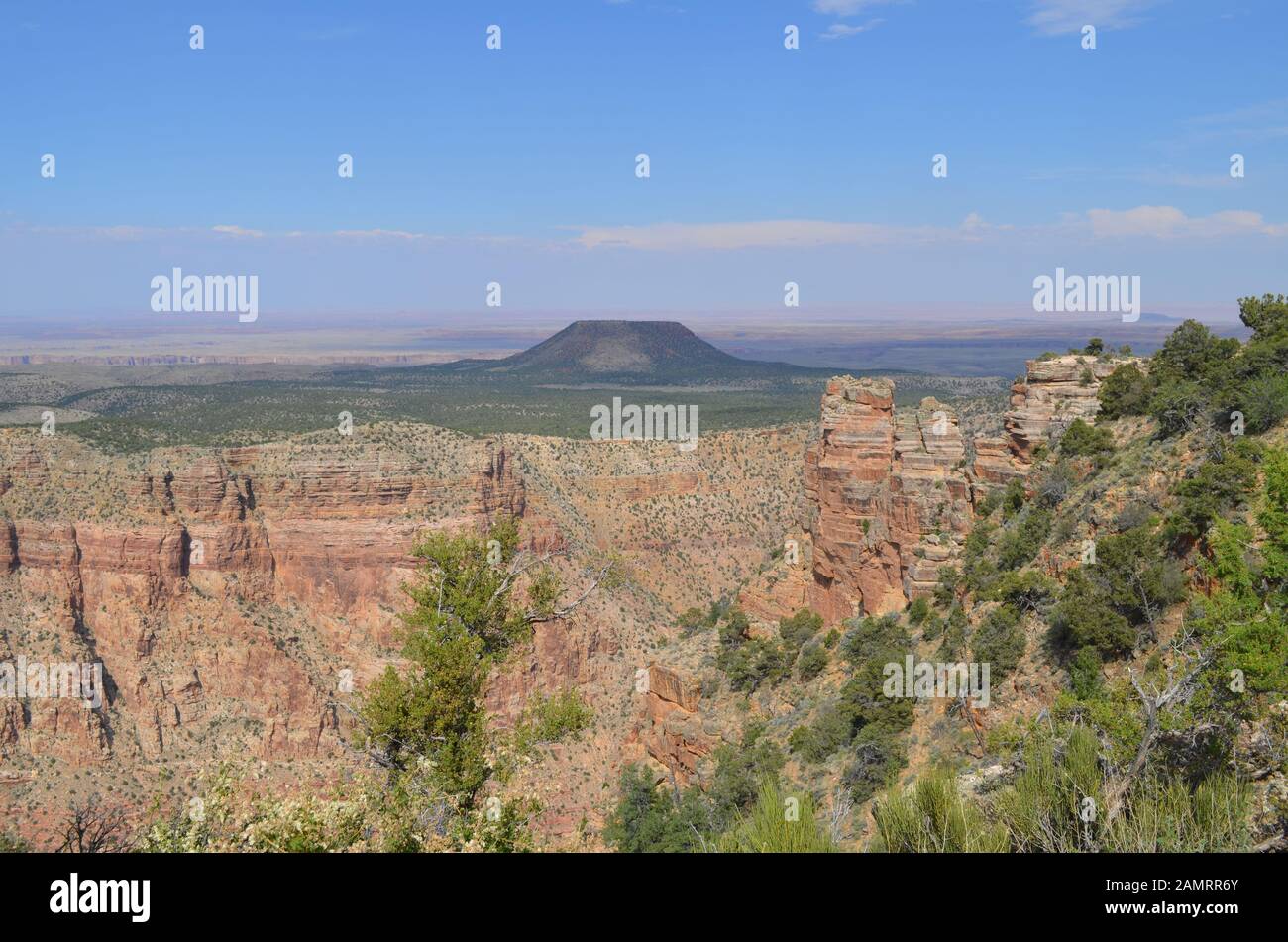Estate In Arizona: Guardando A Est A Cedar Mountain, Little Colorado River Gorge E Dipinto Deserto Da Desert View Watchtower Sul Grand Canyon South Rim Foto Stock Estate In Arizona: Guardando A Est A Cedar Mountain, Little Colorado River Gorge E Dipinto Deserto Da Desert View Watchtower Sul Grand Canyon South Rim Foto Stock