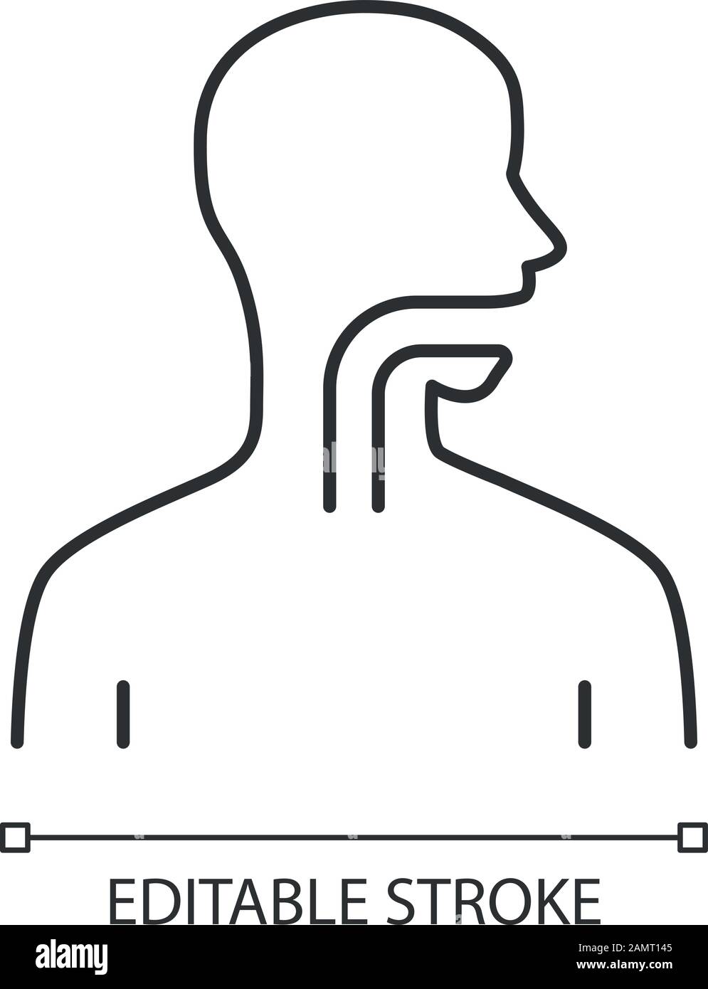 Icona lineare della gola sana. Cavità orale, faringe, esofago in buona salute. Sezione superiore del canale alimentare. Illustrazione a linee sottili. Simbolo del contorno. Illustrazione Vettoriale
