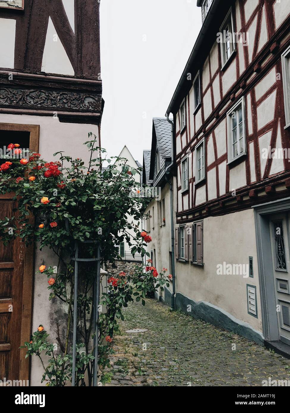 Case medievali a graticcio nel centro storico, Limburg an der Lahn, Hesse, Germania Foto Stock