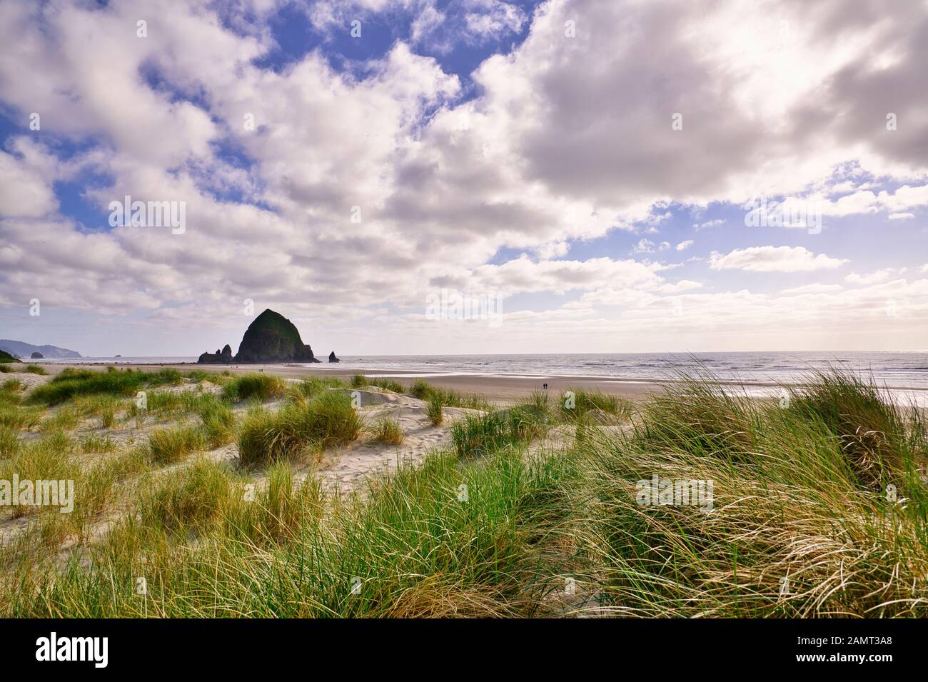 Haystack Rock e spiaggia erba su dune di sabbia; Cannon Beach, Oregon Coast. Foto Stock