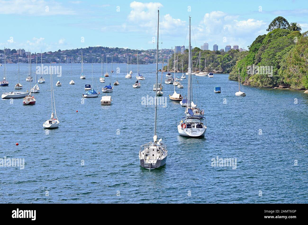 Cremorne punta alla passeggiata costiera di Mosman Bay, Sydney, Australia Foto Stock