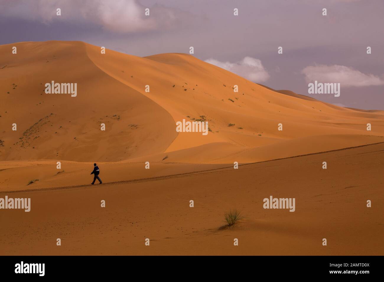 Una passeggiata turistica lungo le belle dune del deserto a Merzouga, Marocco Foto Stock