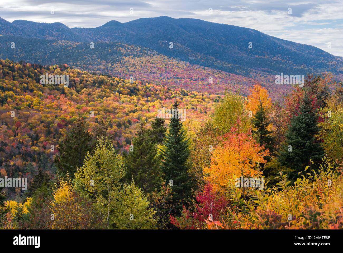 White Mountain National Forest, Lincoln, New Hampshire, Stati Uniti Foto Stock