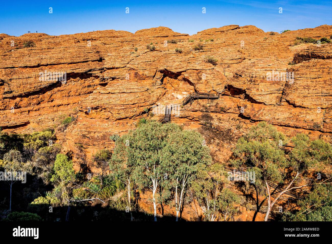Paesaggio lungo il Kings Canyon Rim Passeggiata nel territorio del Nord nel centro dell'Australia Foto Stock