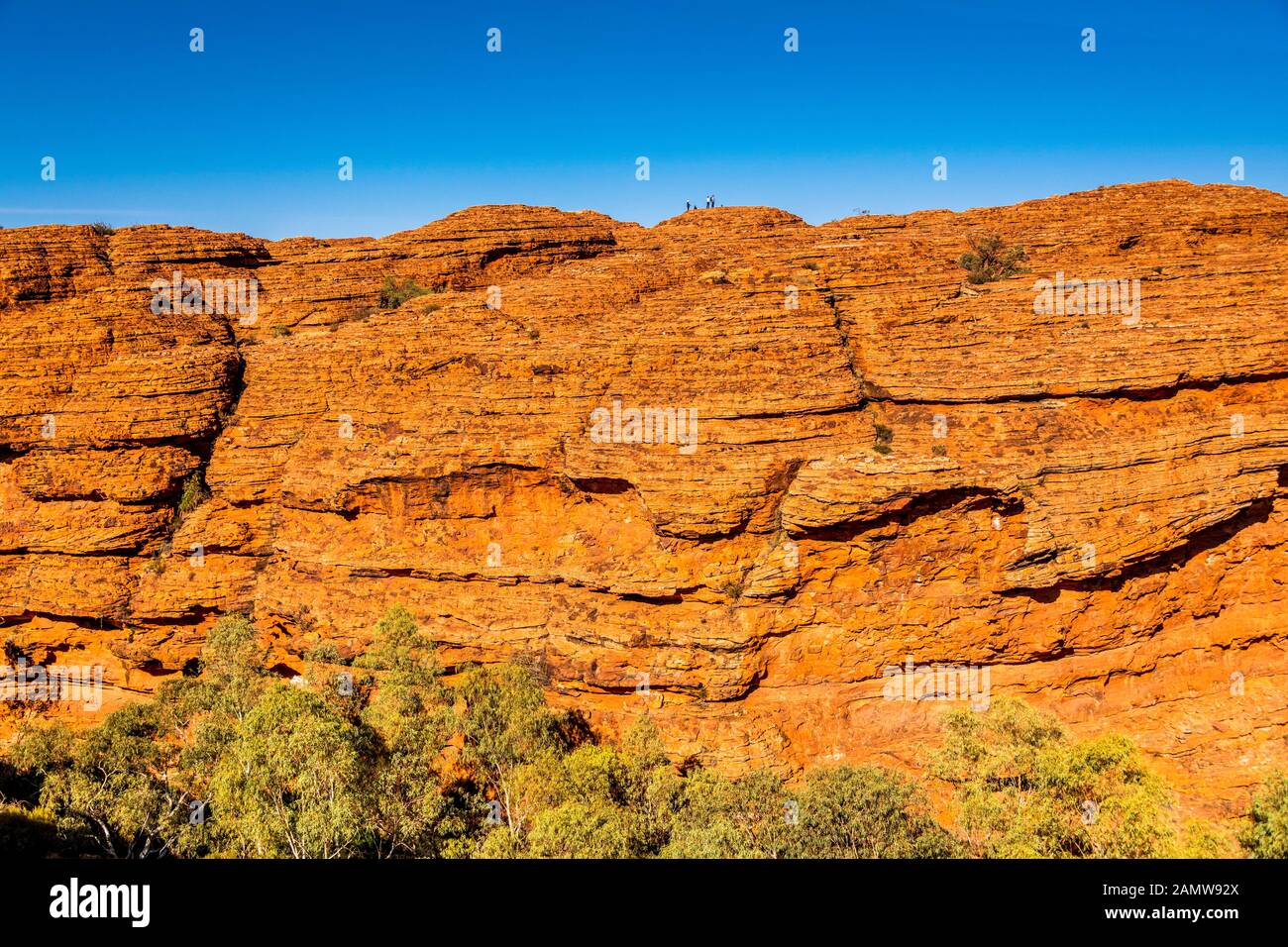 Paesaggio lungo il Kings Canyon Rim Passeggiata nel territorio del Nord nel centro dell'Australia Foto Stock