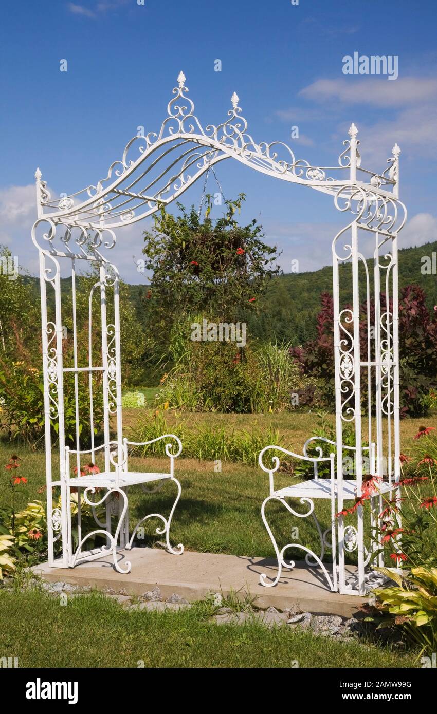 Pergolato in ferro battuto bianco con panchine accanto ai bordi con Echinacea rosso - Coneflowers e Hosta piante in giardino di campagna cortile. Foto Stock