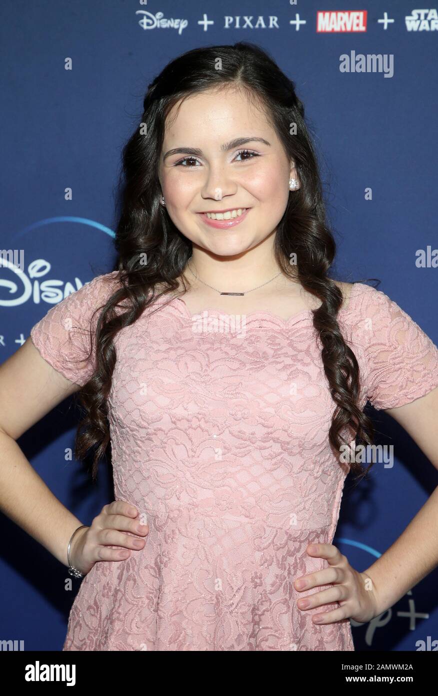 Hollywood, Ca. 14th Gen 2020. Carmina Garay, alla prima del 'Diario DI Un futuro Presidente' di Disney presso l'ARCLIGHT Cinemas di Hollywood, California, il 14 gennaio 2020. Credito: Faye Sadou/Media Punch/Alamy Live News Foto Stock