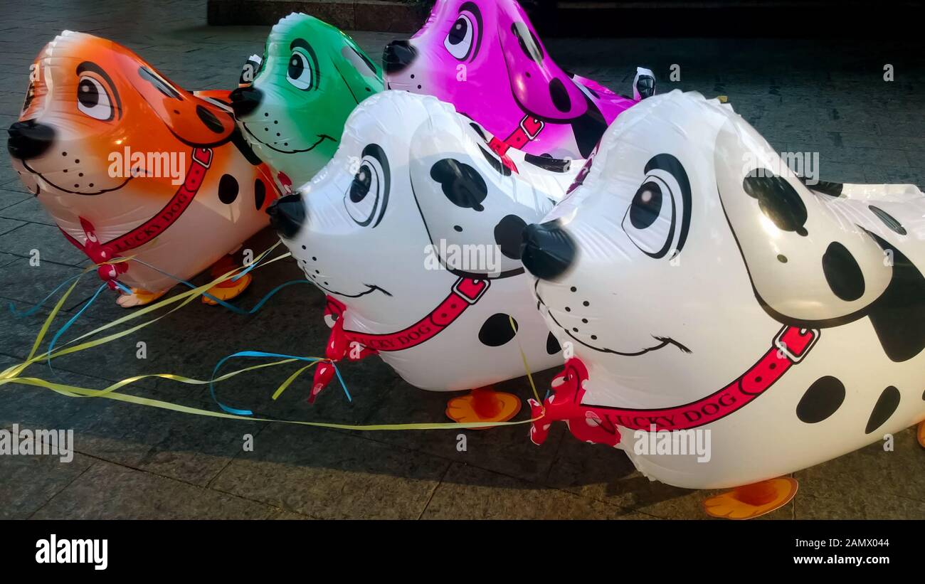 Colorati palloncini a forma di cane che creano buon umore, regali di compleanno e infanzia Foto Stock
