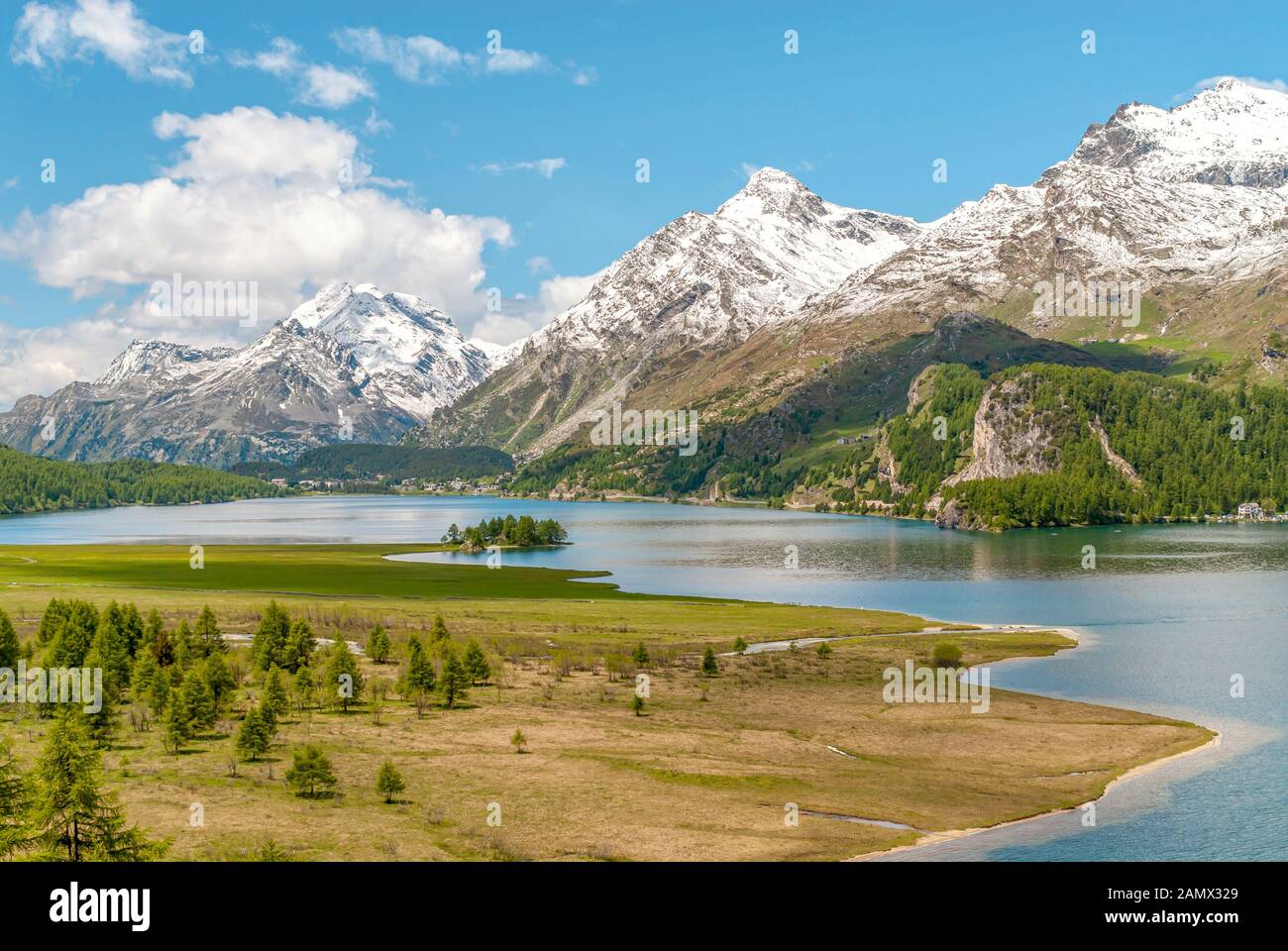Paesaggio estivo, il lago di Sils, alta Engadina, Svizzera Foto Stock