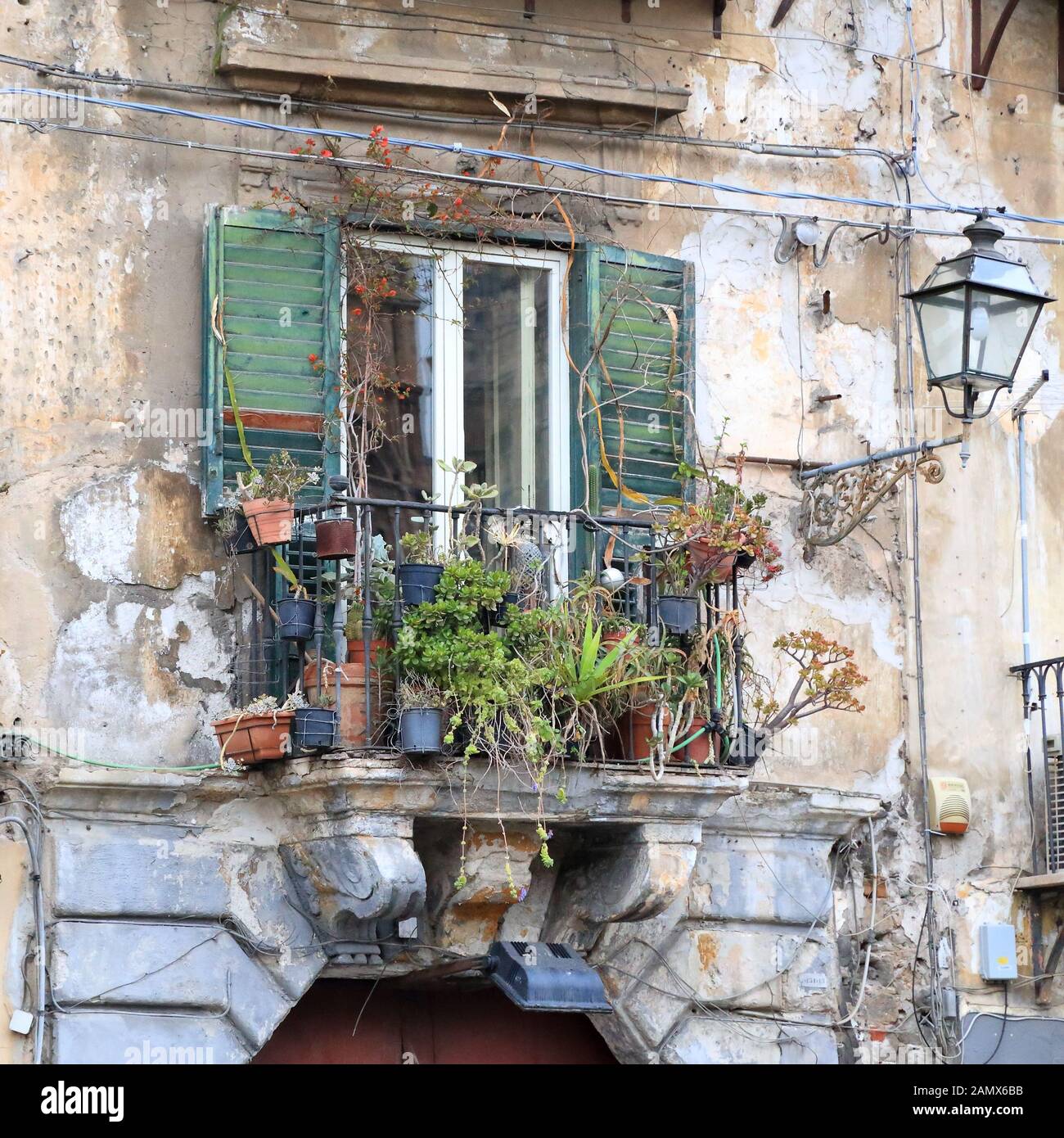 Vecchia finestra con fiori, Palermo Foto Stock