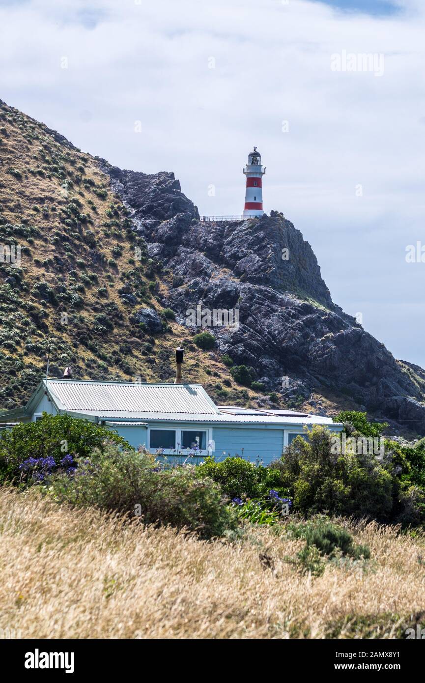 Faro Di Cape Palliser, 1897, Wairarapa, Isola Del Nord, Nuova Zelanda Foto Stock