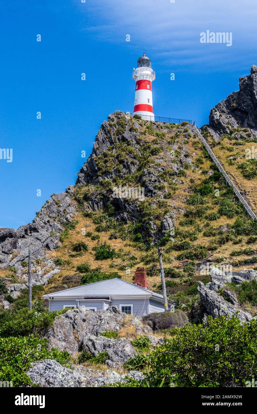 Faro Di Cape Palliser, 1897, Wairarapa, Isola Del Nord, Nuova Zelanda Foto Stock