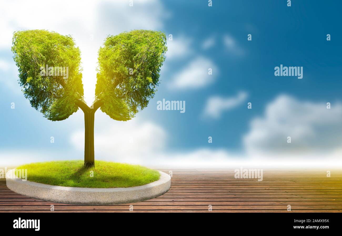 Polmone verde a forma di albero di immagini, concetti medici, autopsia, visualizzazione 3D e animali come un elemento Foto Stock