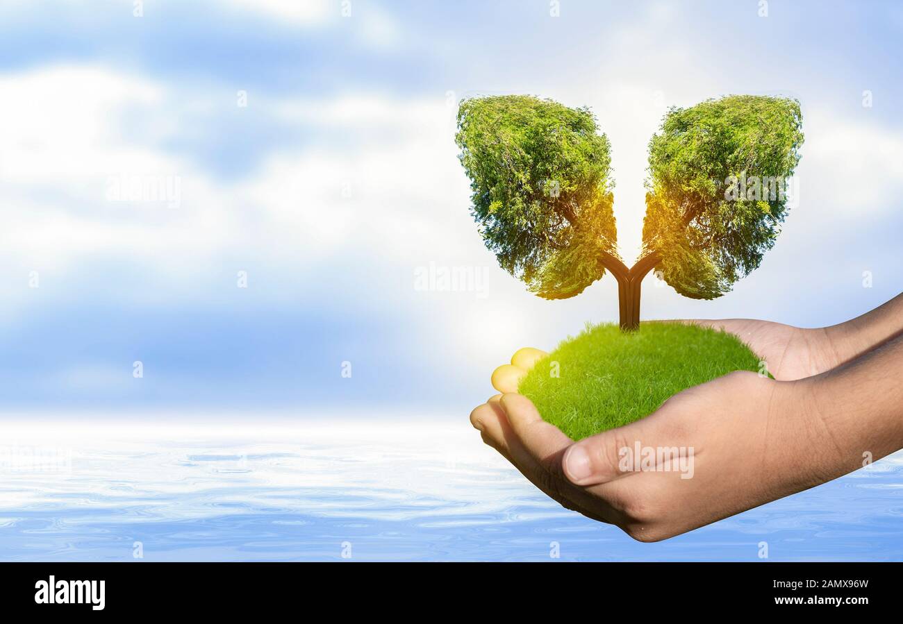 Polmone verde a forma di albero di immagini, concetti medici, autopsia, visualizzazione 3D e animali come un elemento Foto Stock